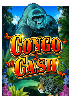 เกมส์ pg: วิธีเล่นและเคล็ดลับการชนะ